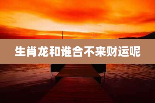 生肖龙和谁合不来财运呢