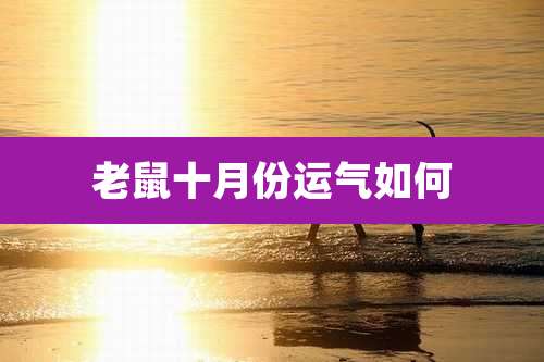 老鼠十月份运气如何