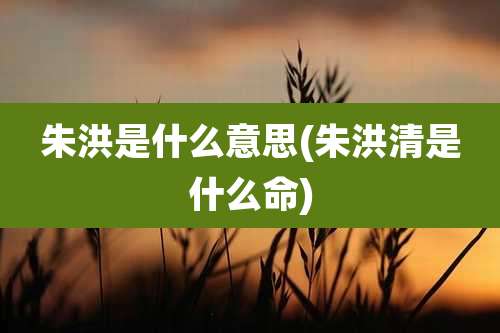 朱洪是什么意思(朱洪清是什么命)