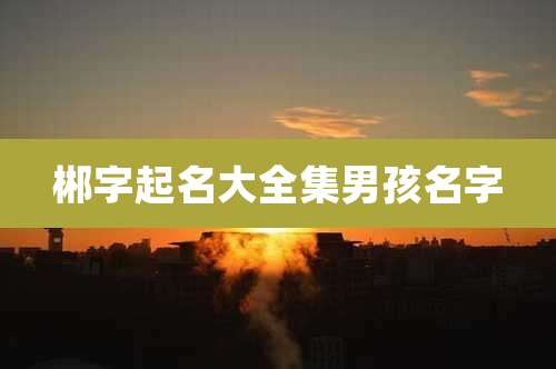 郴字起名大全集男孩名字