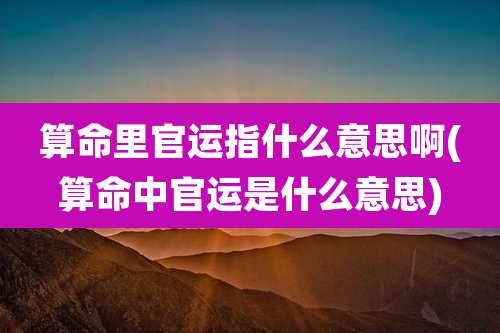 算命里官运指什么意思啊(算命中官运是什么意思)
