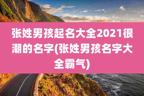 张姓男孩起名大全2021很潮的名字(张姓男孩名字大全霸气)