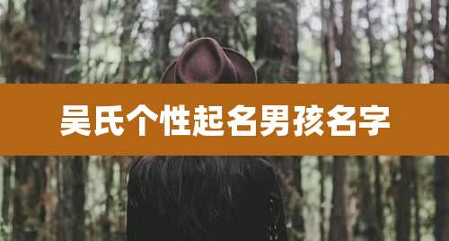 吴氏个性起名男孩名字