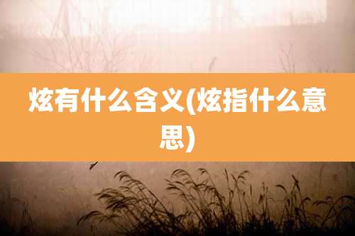 炫有什么含义(炫指什么意思)