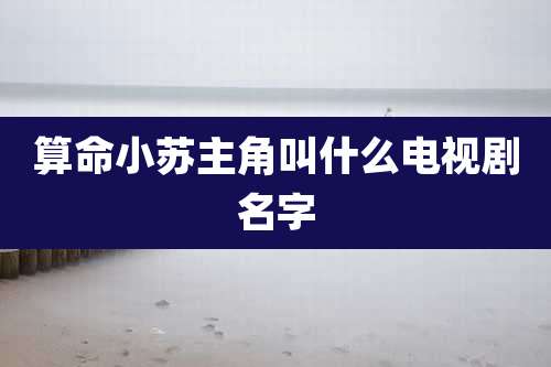 算命小苏主角叫什么电视剧名字