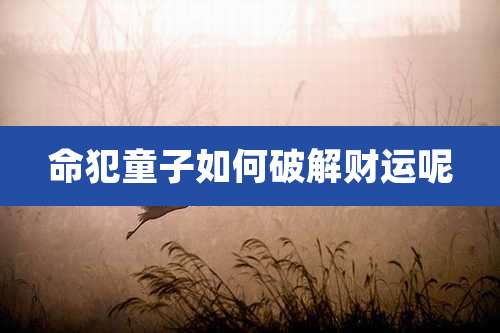 命犯童子如何破解财运呢