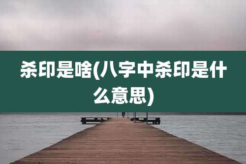 杀印是啥(八字中杀印是什么意思)