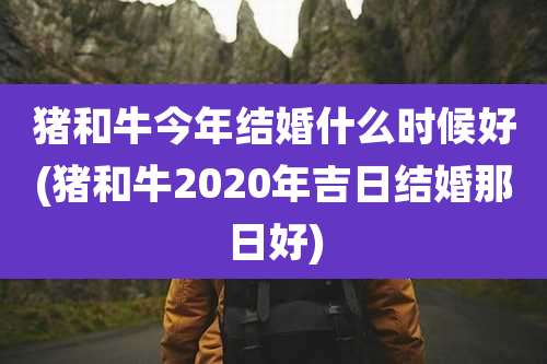猪和牛今年结婚什么时候好(猪和牛2020年吉日结婚那日好)