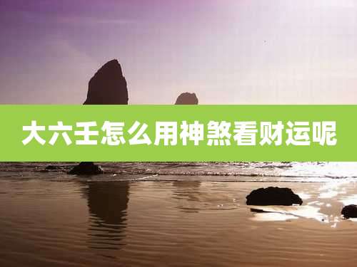 大六壬怎么用神煞看财运呢