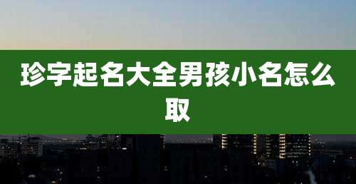 珍字起名大全男孩小名怎么取