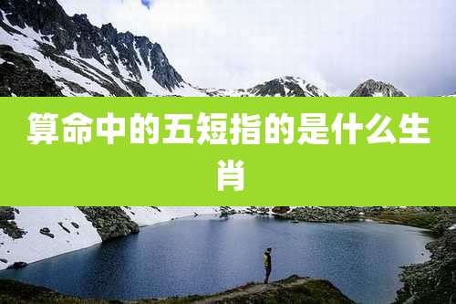 算命中的五短指的是什么生肖