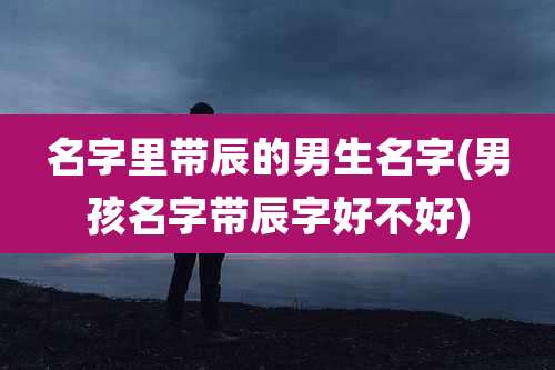 名字里带辰的男生名字(男孩名字带辰字好不好)