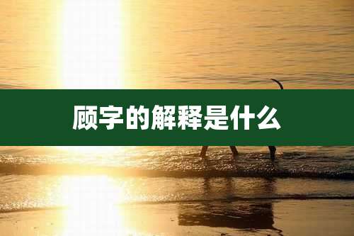 顾字的解释是什么