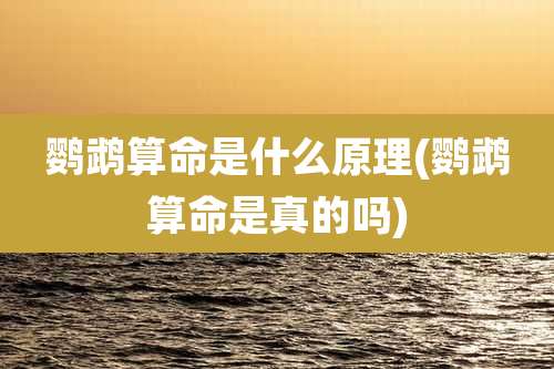 鹦鹉算命是什么原理(鹦鹉算命是真的吗)