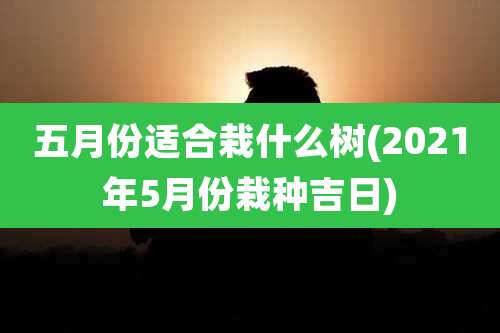 五月份适合栽什么树(2021年5月份栽种吉日)