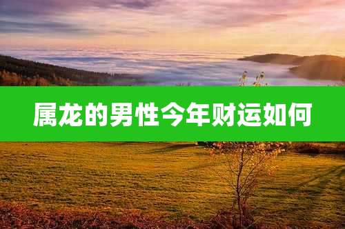 属龙的男性今年财运如何