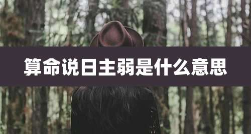 算命说日主弱是什么意思