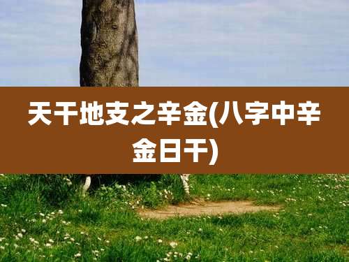 天干地支之辛金(八字中辛金日干)