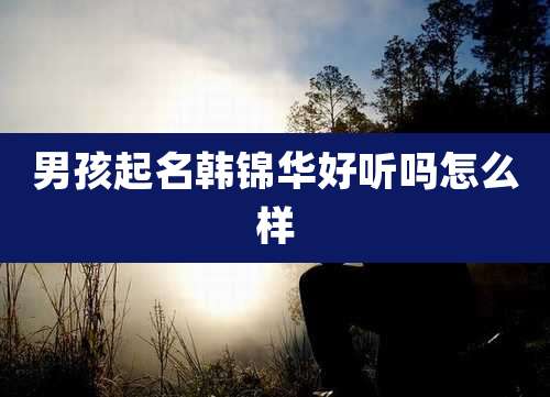 男孩起名韩锦华好听吗怎么样