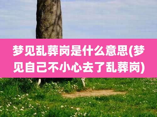 梦见乱葬岗是什么意思(梦见自己不小心去了乱葬岗)