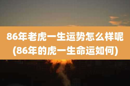 86年老虎一生运势怎么样呢(86年的虎一生命运如何)