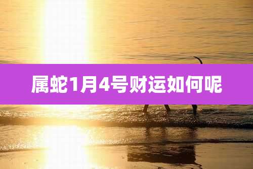 属蛇1月4号财运如何呢