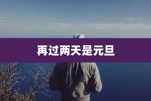 再过两天是元旦