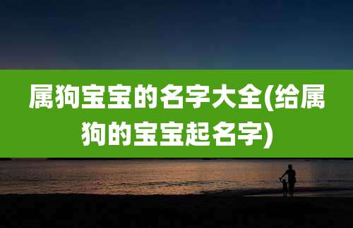 属狗宝宝的名字大全(给属狗的宝宝起名字)