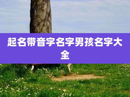 起名带音字名字男孩名字大全