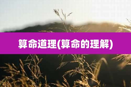 算命道理(算命的理解)