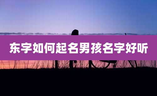 东字如何起名男孩名字好听