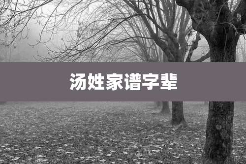 汤姓家谱字辈