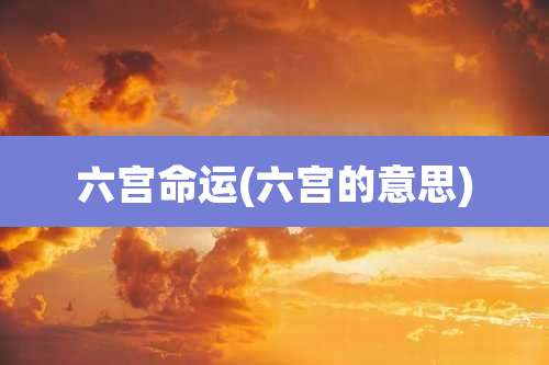 六宫命运(六宫的意思)