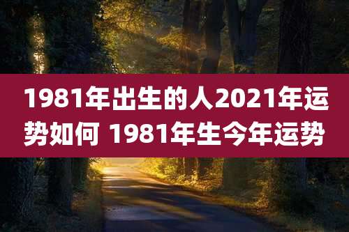 1981年出生的人2021年运势如何 1981年生今年运势