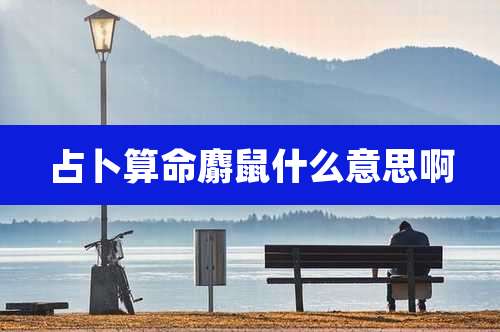 占卜算命麝鼠什么意思啊