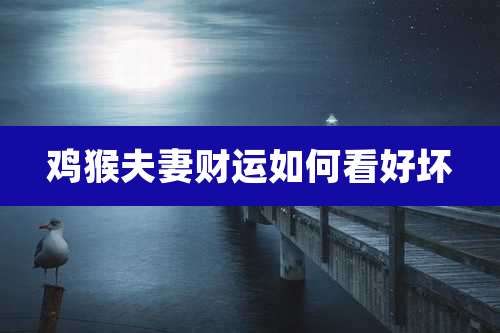 鸡猴夫妻财运如何看好坏