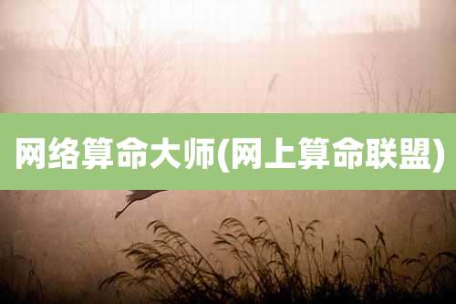 网络算命大师(网上算命联盟)