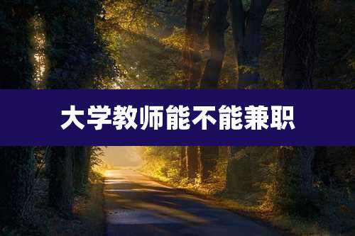 大学教师能不能兼职