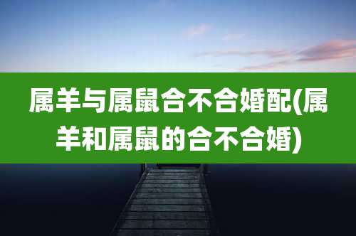 属羊与属鼠合不合婚配(属羊和属鼠的合不合婚)