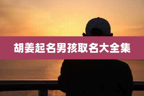 胡姜起名男孩取名大全集