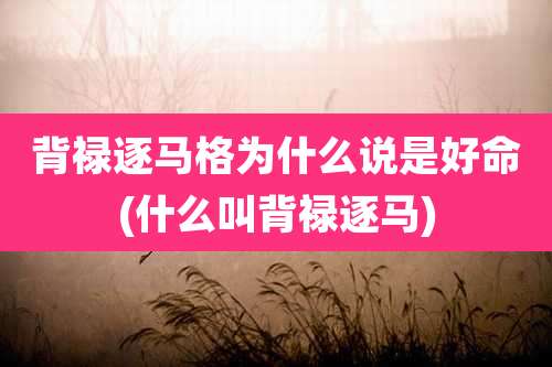 背禄逐马格为什么说是好命(什么叫背禄逐马)