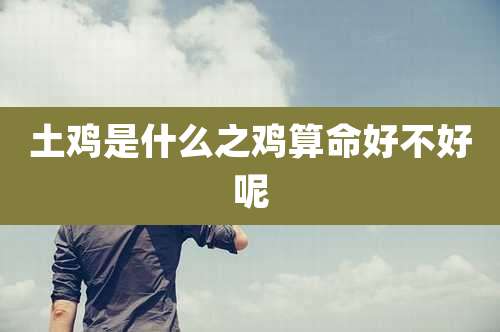 土鸡是什么之鸡算命好不好呢
