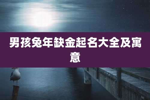 男孩兔年缺金起名大全及寓意