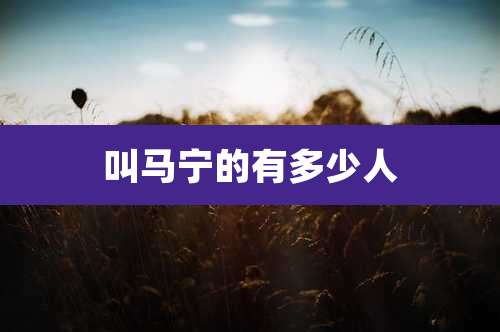 叫马宁的有多少人