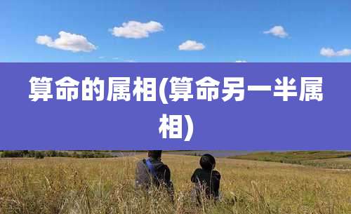 算命的属相(算命另一半属相)