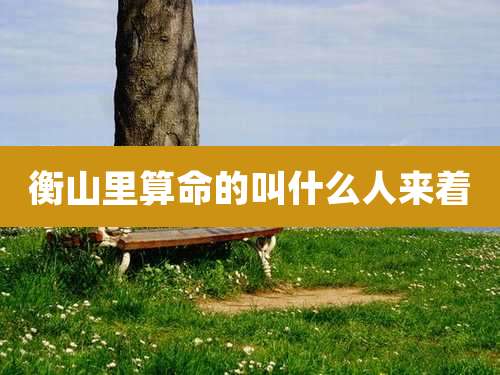 衡山里算命的叫什么人来着