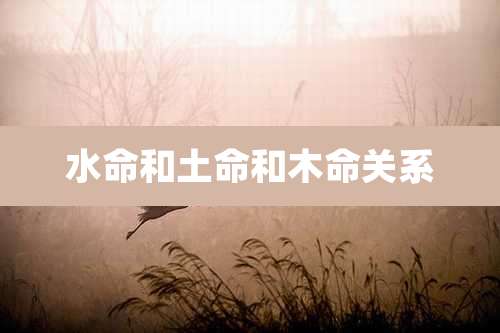 水命和土命和木命关系