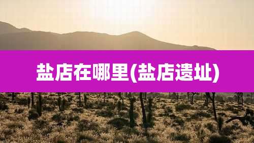 盐店在哪里(盐店遗址)