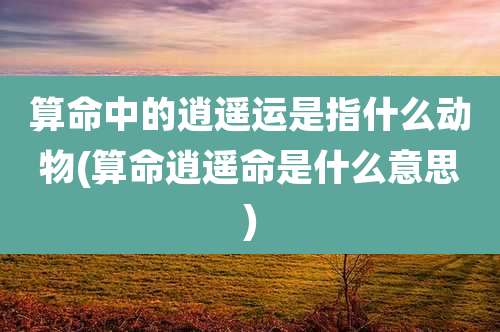 算命中的逍遥运是指什么动物(算命逍遥命是什么意思)