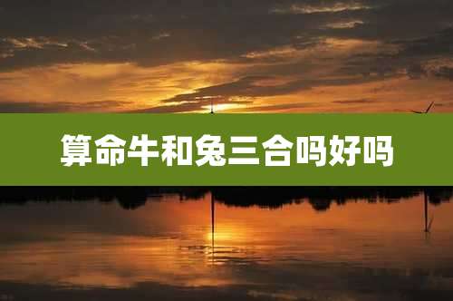 算命牛和兔三合吗好吗